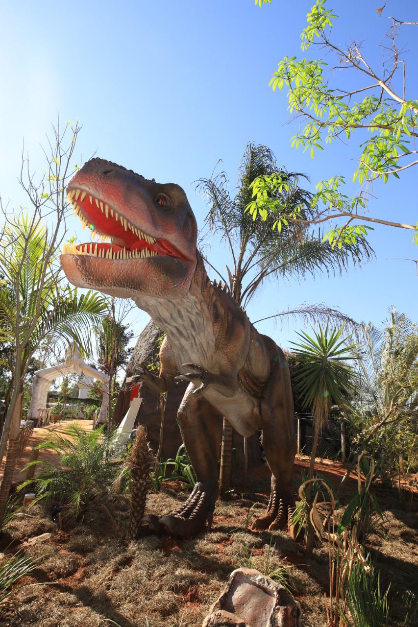 Vale dos Dinossauros - Image 4